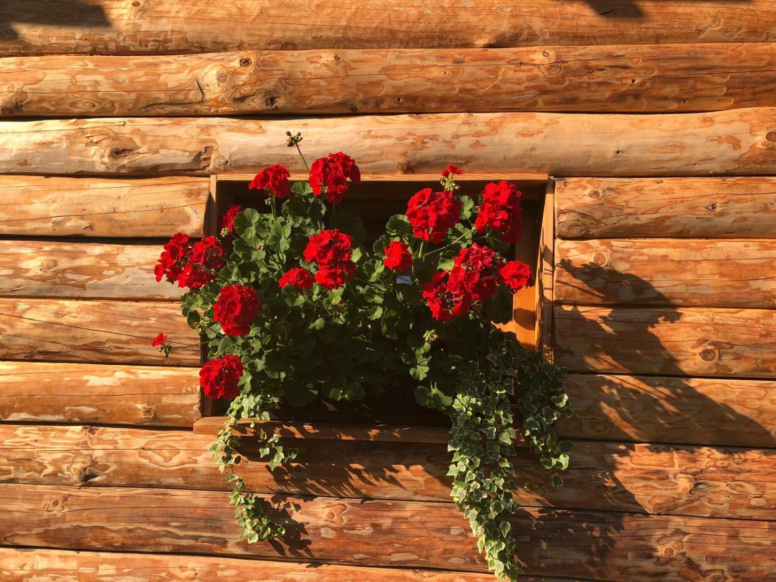 Glamping Savinja Hotel Ljubno Exterior foto