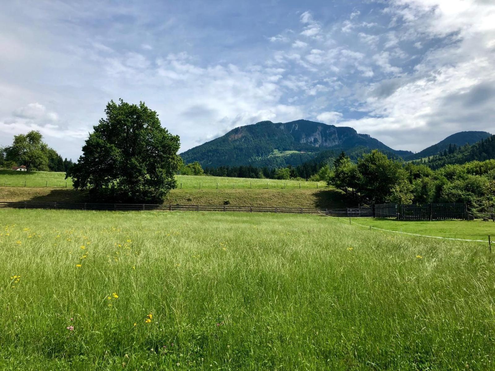 Glamping Savinja Hotel Ljubno Exterior foto